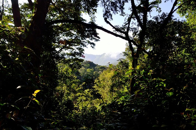 park-image