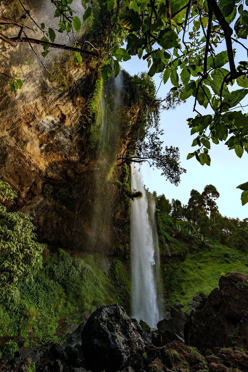 tour-image